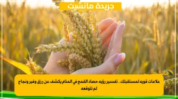 علامات قوية لمستقبلك.. تفسير رؤية حصاد القمح في المنام يكشف عن رزق وفير ونجاح لم تتوقعه 1